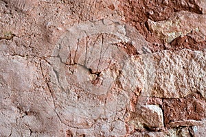 Six Fingered Hand Etching in Plaster