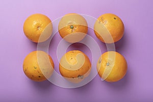 Six healthy, ugly and flawed seasonal oranges photo
