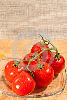 Six freshly picked vine ripened tomatoes