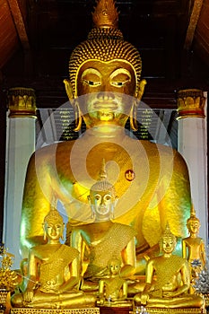 Six golden buddha