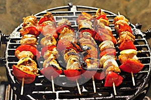 six Grilled Meat Skewers on the BBQ