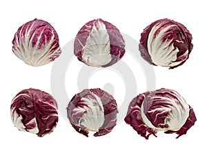 Six Heads of Radicchio