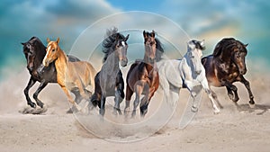 Six horse run in sandy desert