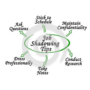 Job Shadowing Tips