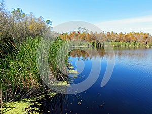 Six Mile Cypress Slough Preserve