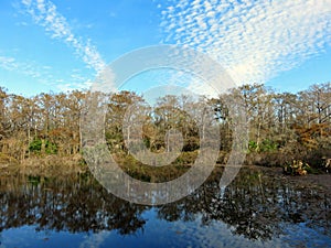 Six Mile Cypress Slough Preserve