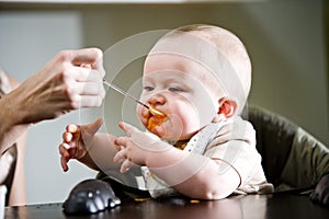 Six month old baby eating solid food