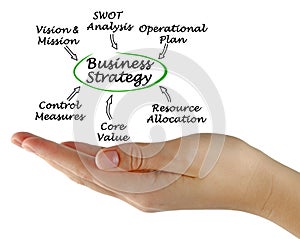 Parameter Influencing  Business Strategy