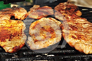 Six pieces of marinated chicken breast photo