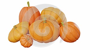 Six pumpkins of different sizes and shapes for halloween