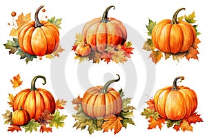 Six Pumpkins Surrounded by Fall Leaves