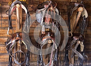 Six saddles and bridles in tack shop, Wyoming