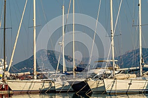 Six sailboats in a harbor