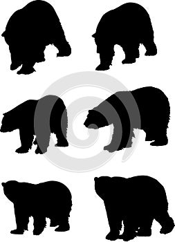 Six silhouettes of bears