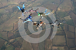 Six skydivers