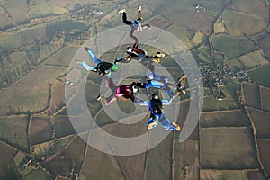 Six skydivers photo