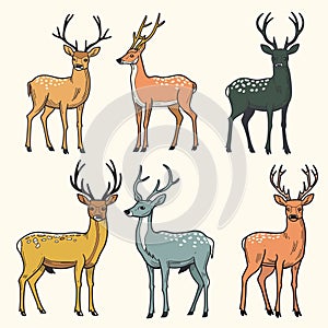 Six stylized deer illustrations, unique coloration antler shapes. Cartoon deer set features