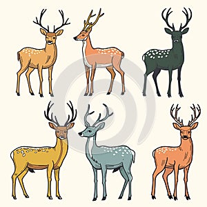 Six stylized deer illustrations, unique coloration antler shapes. Cartoon deer set features photo