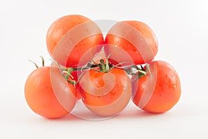 Six unpeeled, fresh, red tomatoes with green tails on white back