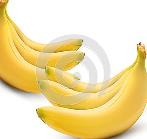 six vector bananas on white background