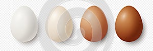 6 Six Vector 3d Realistic White, Brown Chicken Eggs in Opened Carton Paper Box, Container, Packaging. Textured Chicken