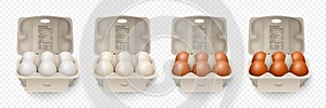 6 Six Vector 3d Realistic White, Brown Chicken Eggs in Opened Carton Paper Box, Container, Packaging. Textured Chicken