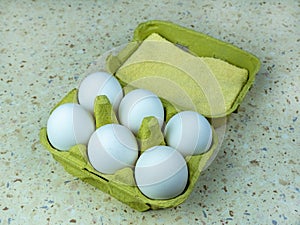Six white chicken eggs in a green egg box, close-up.
