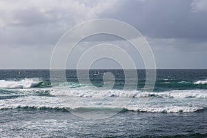 Six windsurfers and six surfers catching waves in the Pacific Ocean at Ho\'okipa Beach, Maui, Hawaii