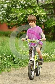 Six year old boy riding a bicycle in dandelion field