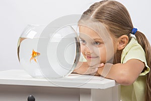 Six year old girl put her head on the handle and looks at a goldfish in an aquarium
