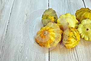 Six yellow and green bush pumpkins on white wood background. Garden,agriculture and farming concept.