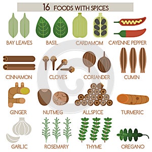Sixteen foods with spices photo