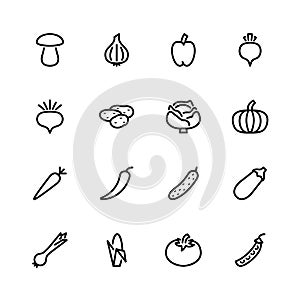 Sixteen vegetable icons isolated on white