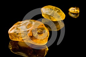 Sixty Million Year Old Baltic Amber