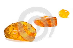 Sixty Million Year Old Baltic Amber