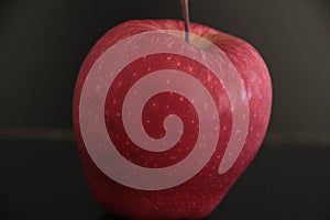 Organic apples on a black background photo
