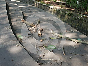 Sizable tree branches began to scatter on the sidewalks of indonesian roads