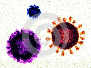 Size comparison between norovirus, coronavirus and influenza virus