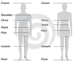 Sizing on male and female body