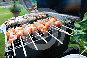 Sizzling burgers and chicken kebabs