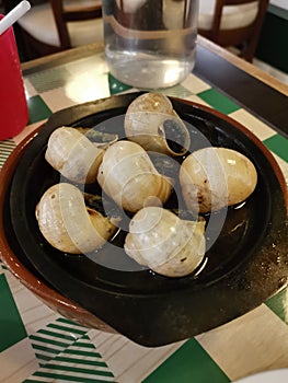 A sizzling hot plate of escargots