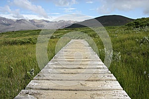 Skaftafell National Park