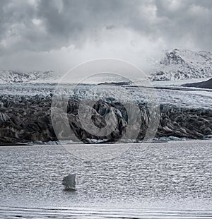 Skaftafellsjokull glacier, Iceland. Glacier tongue slides from the Vatnajokull icecap or Vatna Glacier near subglacial Esjufjoll