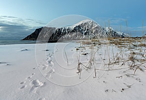 Skagsanden Beach n the winter on the Lofoten Islands