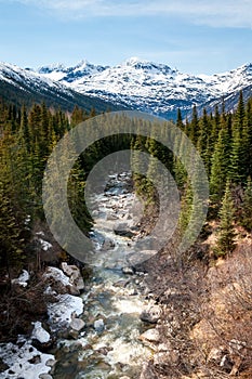 Skagway River in the Tongass National Forest, Alaska