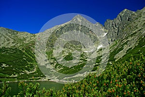 Skalnaté pleso, Vysoké Tatry