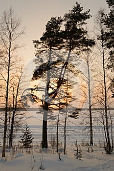 Skandinavien winter sunset frozen lake photo