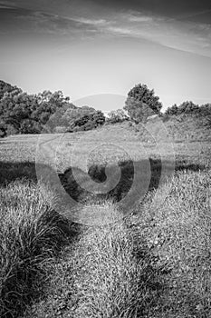 Skane Countryside Off Road Track