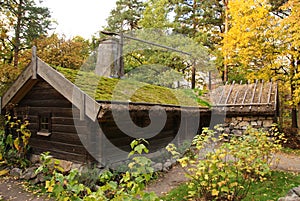 Skansen - the Hornborga cottage photo
