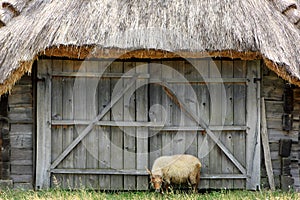 Skanzen, Hungary